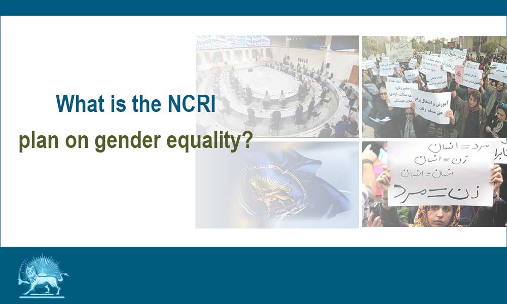 What is the NCRI plan on gender equality?