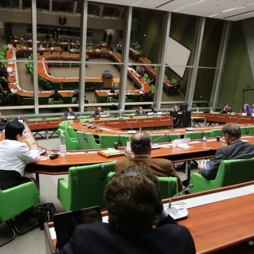 Maryam Rajavi, Hearing at the ALD party session, Strasbourg-26 January 2015