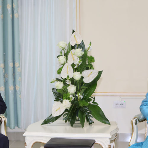 Maryam Rajavi meets with US Senator John McCain