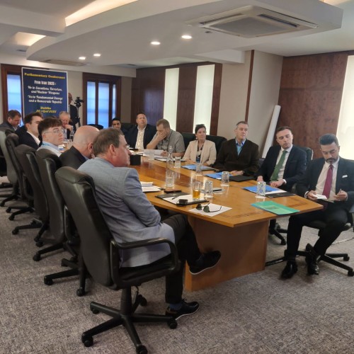 Virtual Conference with Members of the Irish Houses of Parliament- 29 April 2025