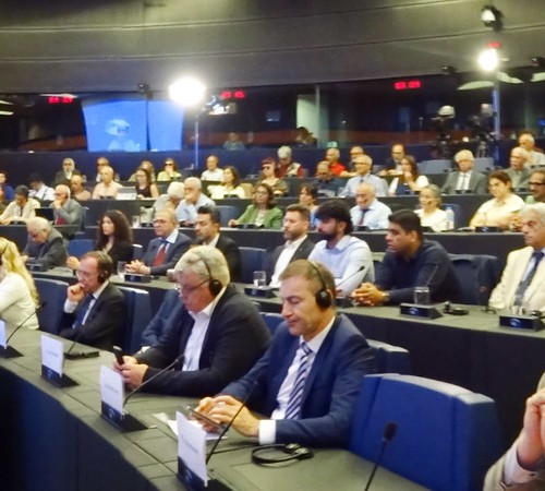 Speech at the European Parliament, Strasbourg- 18 June 2025